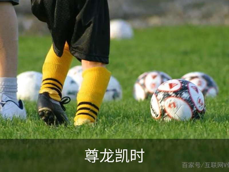 关于尊龙凯时
